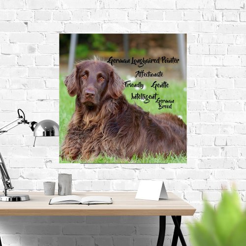 German Longhaired Pointer Wrapped Canvas Print
