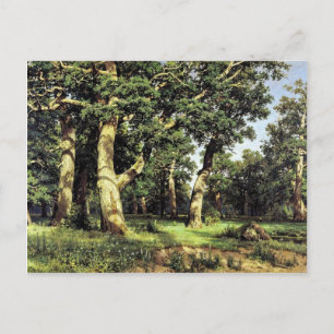 German Oaks Evening By Schischkin Iwan Iwanowitsch Postcard