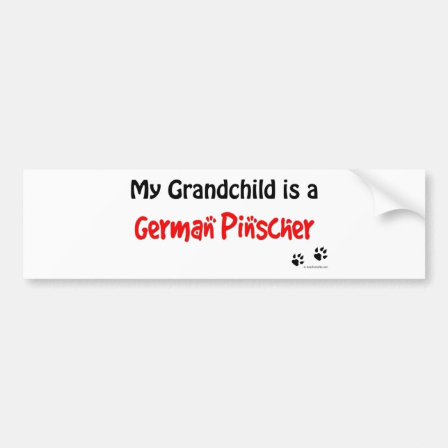 German Pinscher Grandchild Bumper Sticker (Front)