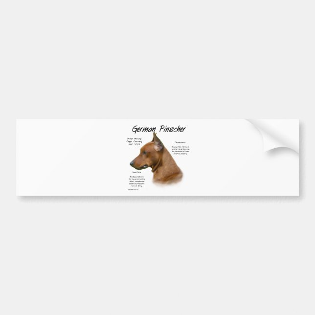German Pinscher History Design Bumper Sticker (Front)