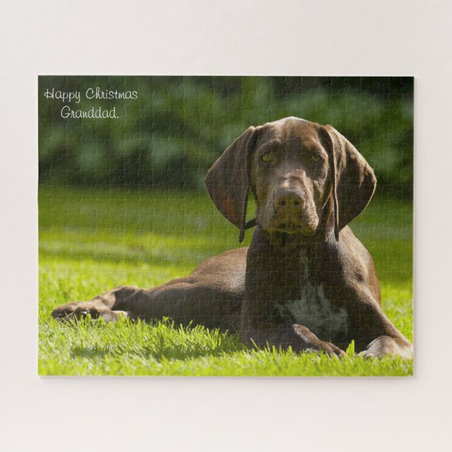 German Pointer Dog. Jigsaw Puzzle (Horizontal)