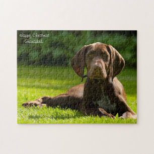 German Pointer Dog. Jigsaw Puzzle