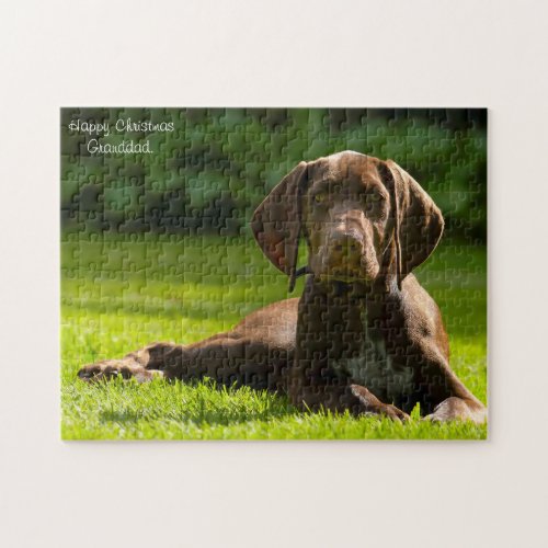 German Pointer Dog Jigsaw Puzzle