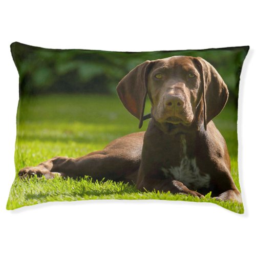 German Pointer Dog Pet Bed