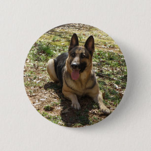 german shepard button