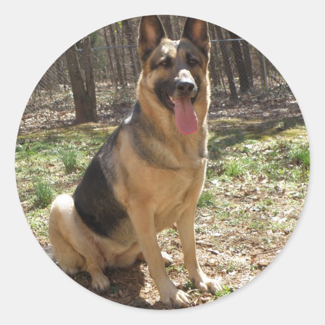german shepard classic round sticker (Front)