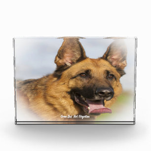 German Shepard Dog. Acrylic Award