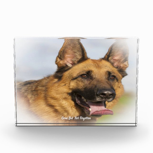 German Shepard Dog. Acrylic Award (Front)