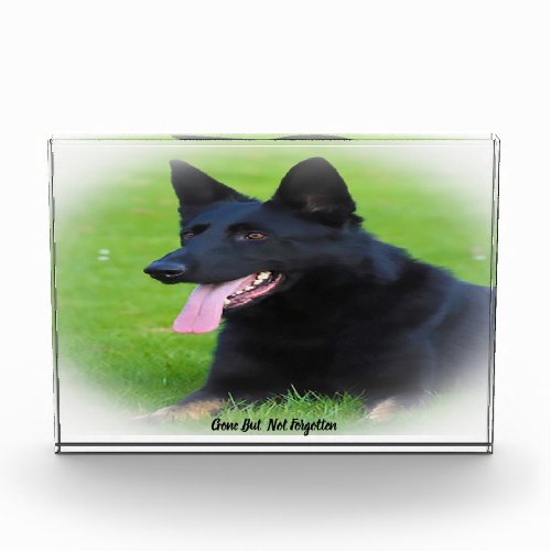 German Shepard Dog Acrylic Award