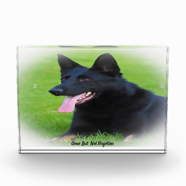 German Shepard Dog. Acrylic Award (Front)