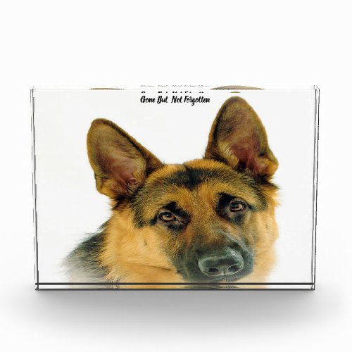 German Shepard Dog Acrylic Award