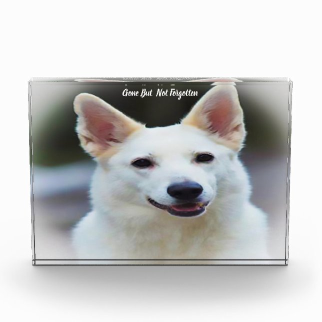 German Shepard Dog. Acrylic Award (Front)