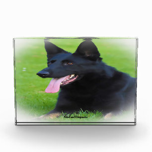 German Shepard Dog. Photo Block