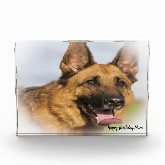 German Shepard Dog. Photo Block (Front)
