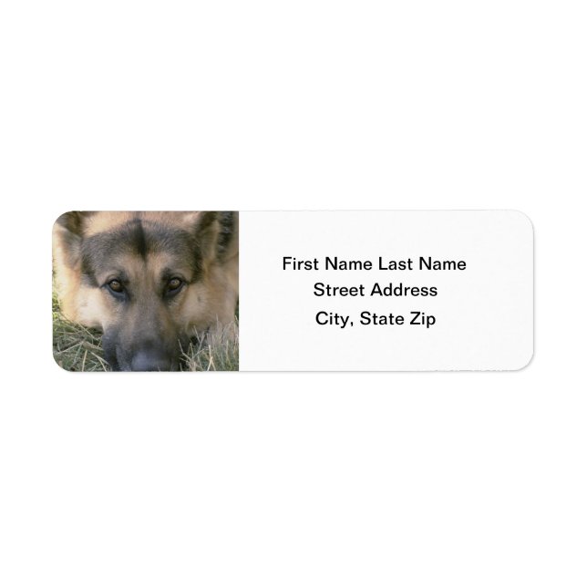 German Shepard Label (Front)
