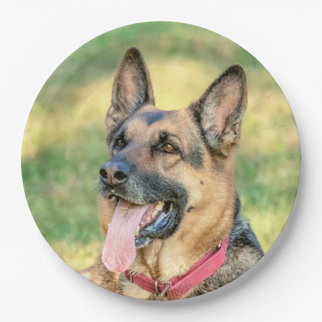 German Shepard Paper Plates (Front)