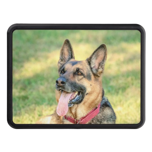 German Shepard Trailer Hitch Cover (Front)