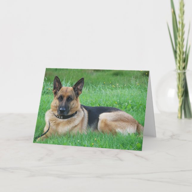 German Sheperd - Dog Greeting Card (Front)