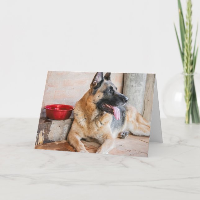 German Sheperd Resting By Water Basin Card (Front)