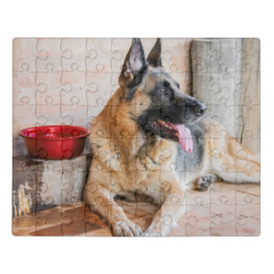 German Sheperd Resting By Water Basin Jigsaw Puzzle