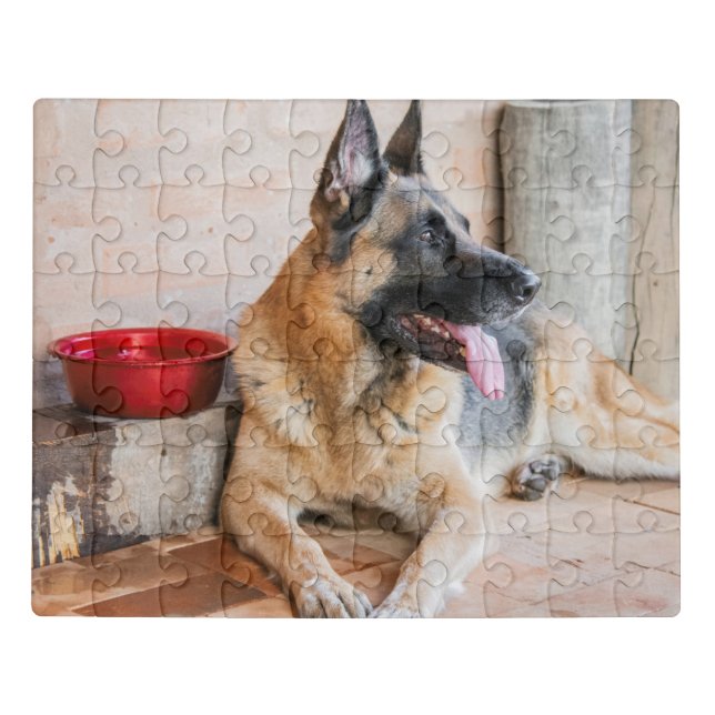 German Sheperd Resting By Water Basin Jigsaw Puzzle (Puzzle Horizontal)