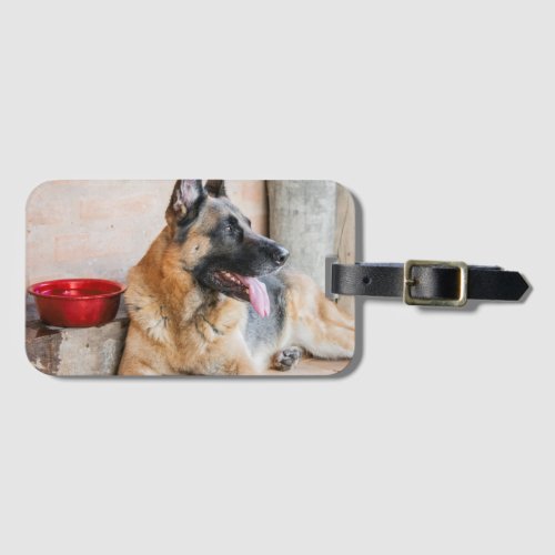 German Sheperd Resting By Water Basin Luggage Tag