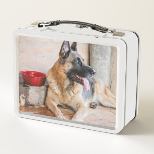 German Sheperd Resting By Water Basin Metal Lunch Box