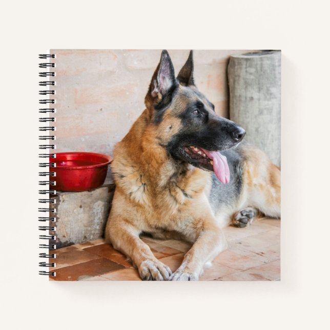 German Sheperd Resting By Water Basin Notebook (Front)
