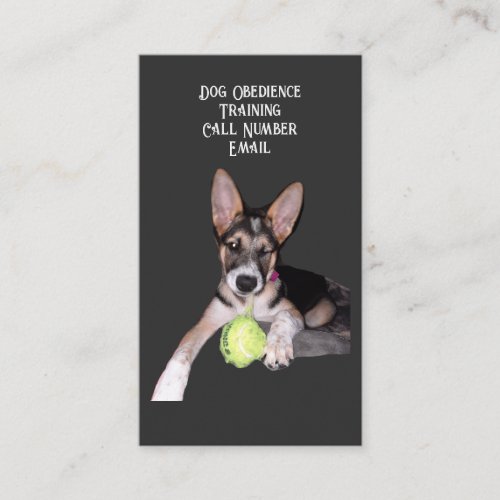 German Shephard Blue Heeler Mix Puppy    Business Card