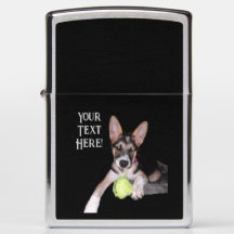 German Shephard Blue Heeler Mix Puppy