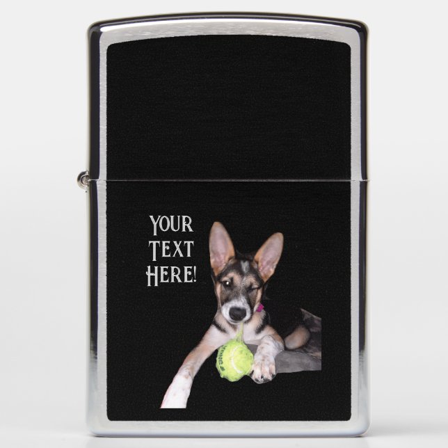 German Shephard Blue Heeler Mix Puppy     Zippo Lighter (Front)