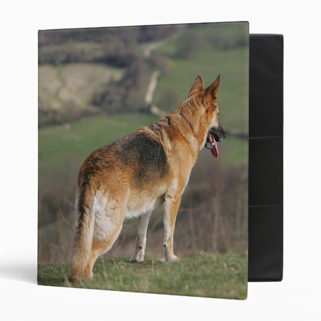 German Shephard Looking Down Hill 3 Ring Binder (Front/Inside)