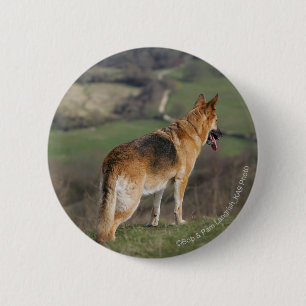 German Shephard Looking Down Hill Button