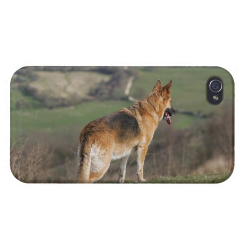 German Shephard Looking Down Hill iPhone 44S Cover