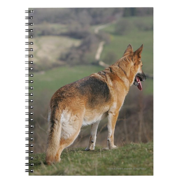 German Shephard Looking Down Hill Notebook (Front)