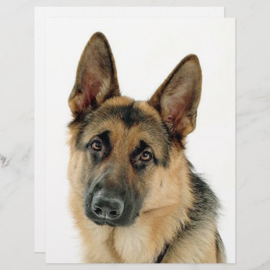 German Shepherd (Front/Back)