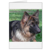 german shepherd 5.png (Front)