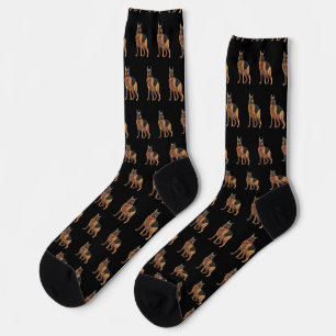 German Shepherd Alsatian Socks