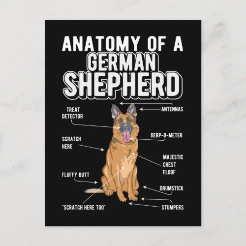 German Shepherd Anatomy Funny Dog Postcard