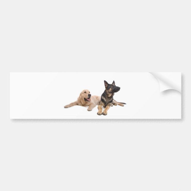 german shepherd and golden retriever bumper sticker (Front)