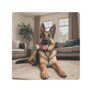 German shepherd at Home Metal Print