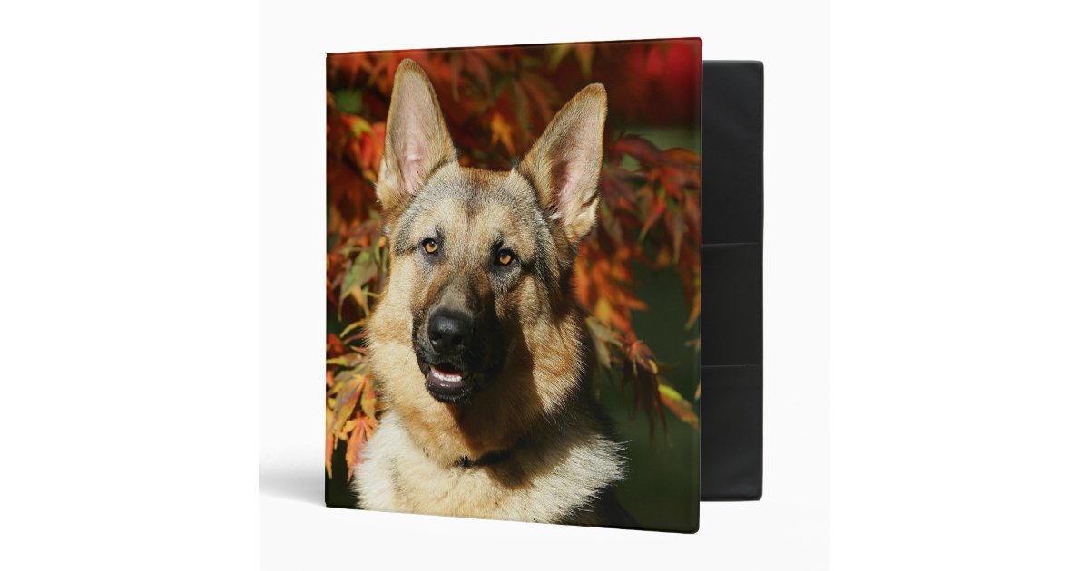 German Shepherd Autumn Leaves Binder | Zazzle