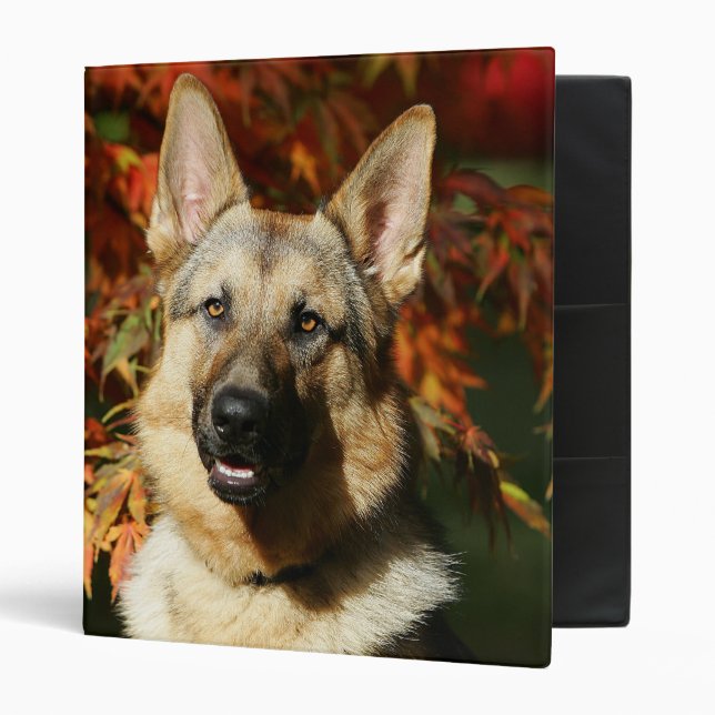 German Shepherd Autumn Leaves Binder (Front/Inside)