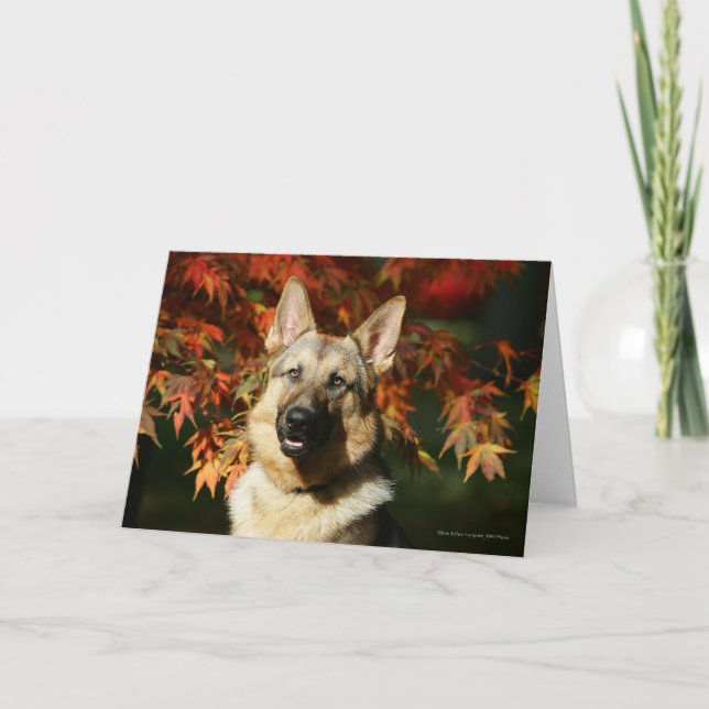 German Shepherd Autumn Leaves Card (Front)