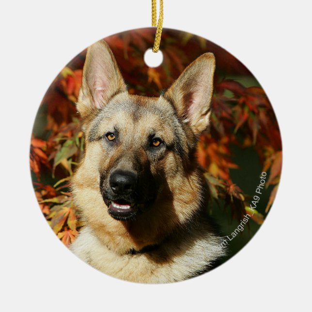 German Shepherd Autumn Leaves Ceramic Ornament (Front)