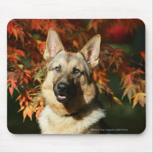 German Shepherd Autumn Leaves Mouse Pad