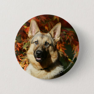 German Shepherd Autumn Leaves Pinback Button