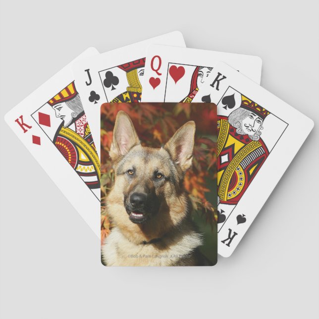 German Shepherd Autumn Leaves Poker Cards (Back)