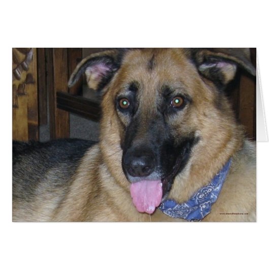 German Shepherd Bandana - Ranch Dog Lover Blank Cards (Front Horizontal)
