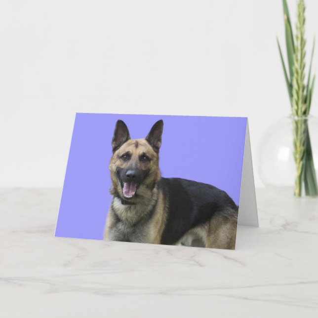 German Shepherd Birthday by Focus for a Cause Card (Front)